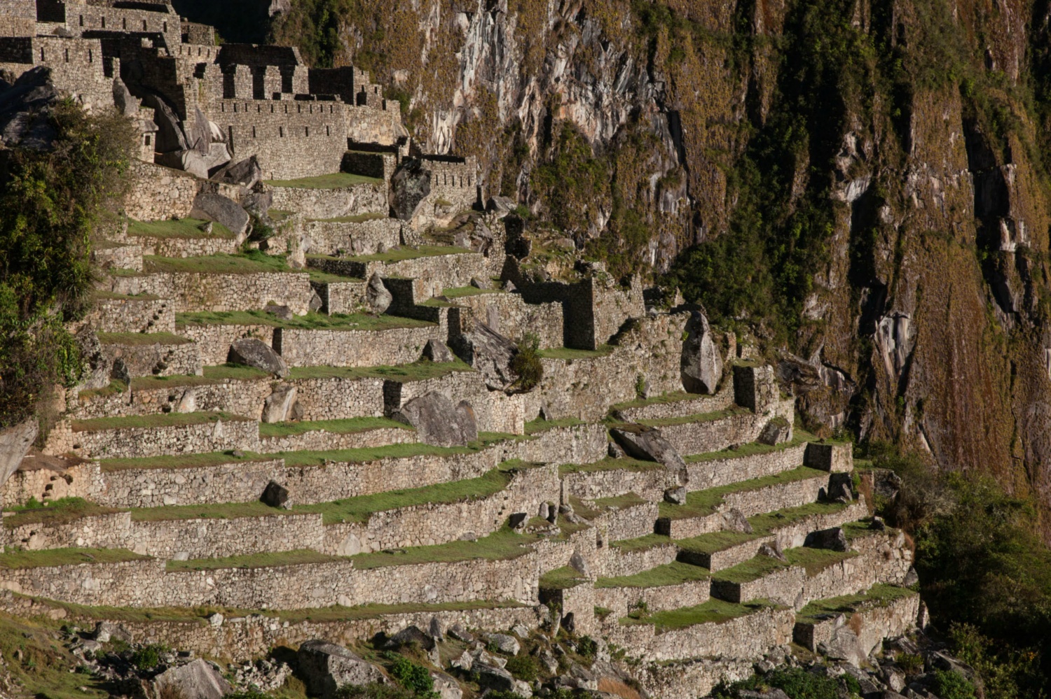 Pérou_Machu Picchu_021
